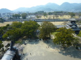 img0081.jpg