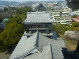 img0082.jpg