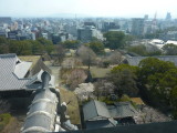 img0084.jpg