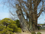 img0097.jpg