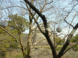 img0122.jpg