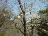 img0123.jpg