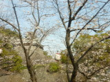 img0124.jpg