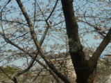 img0125.jpg