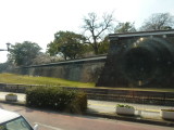 img0131.jpg