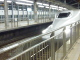img0144.jpg