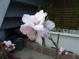 img0012.jpg