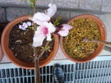 img0014.jpg