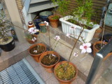 img0000.jpg