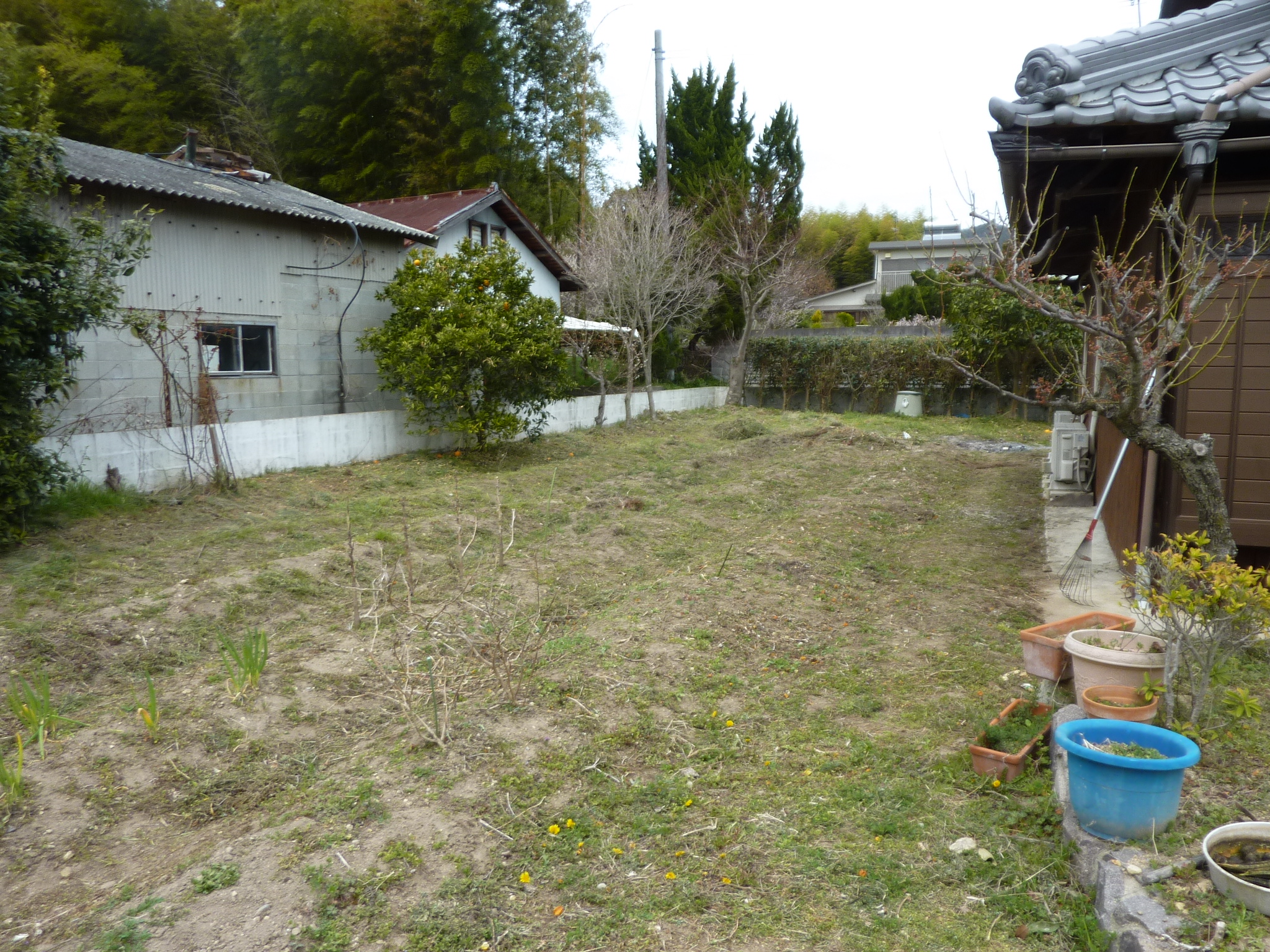 P1120626.JPG