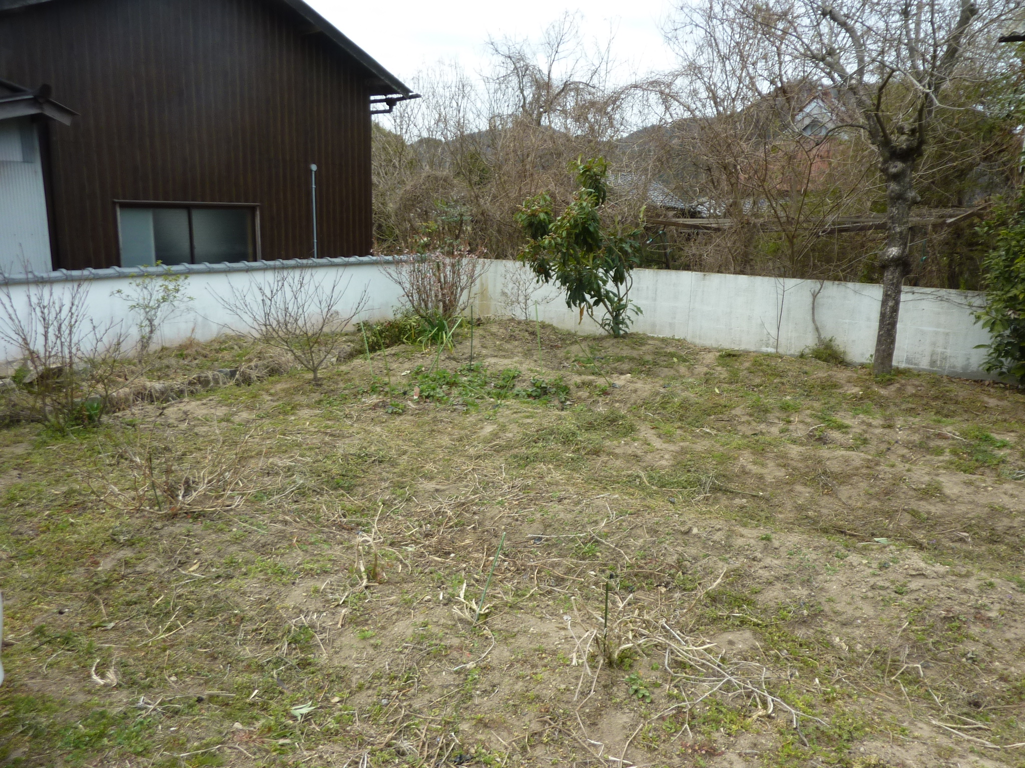 P1120627.JPG