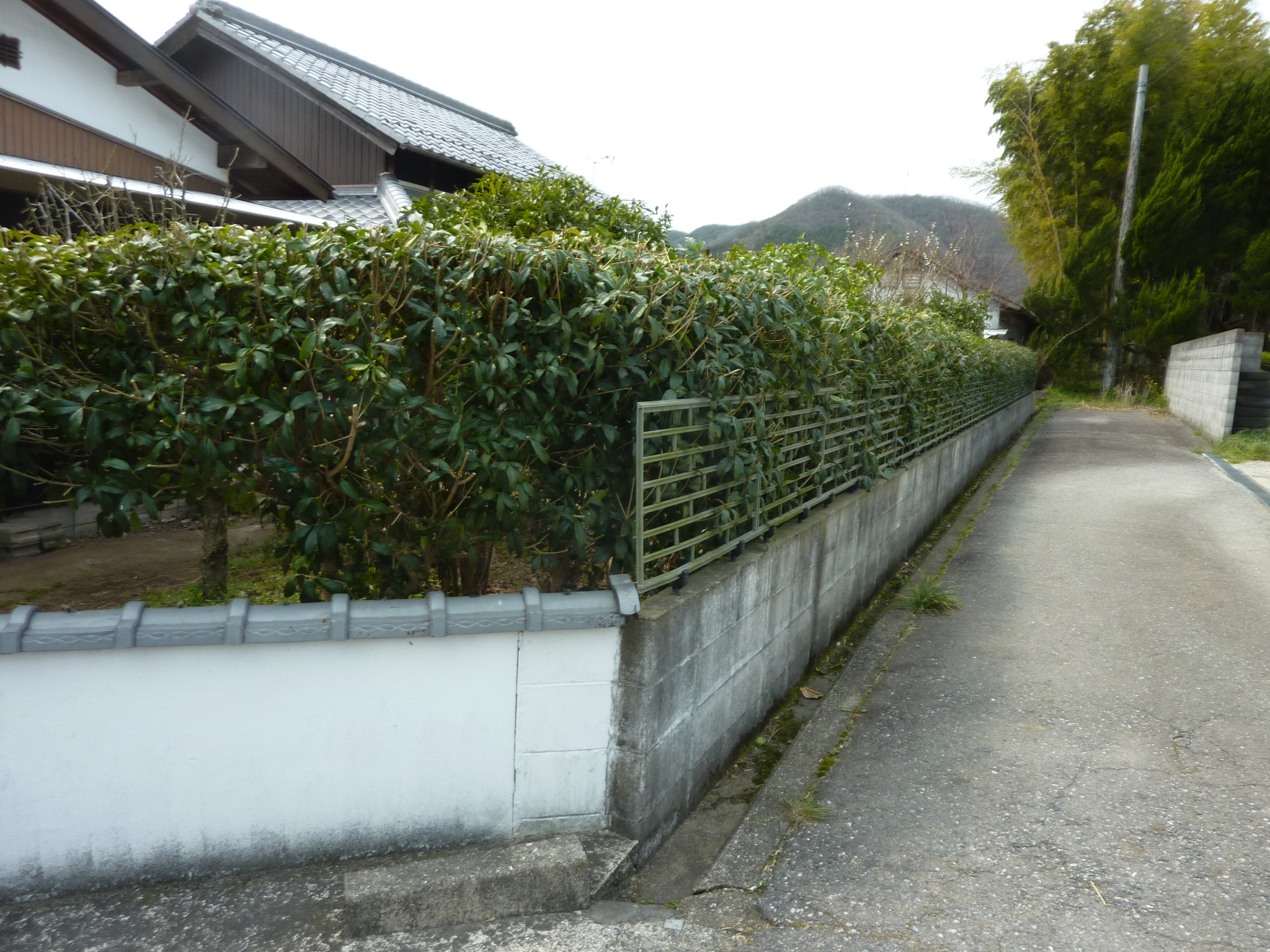 P1120642.JPG