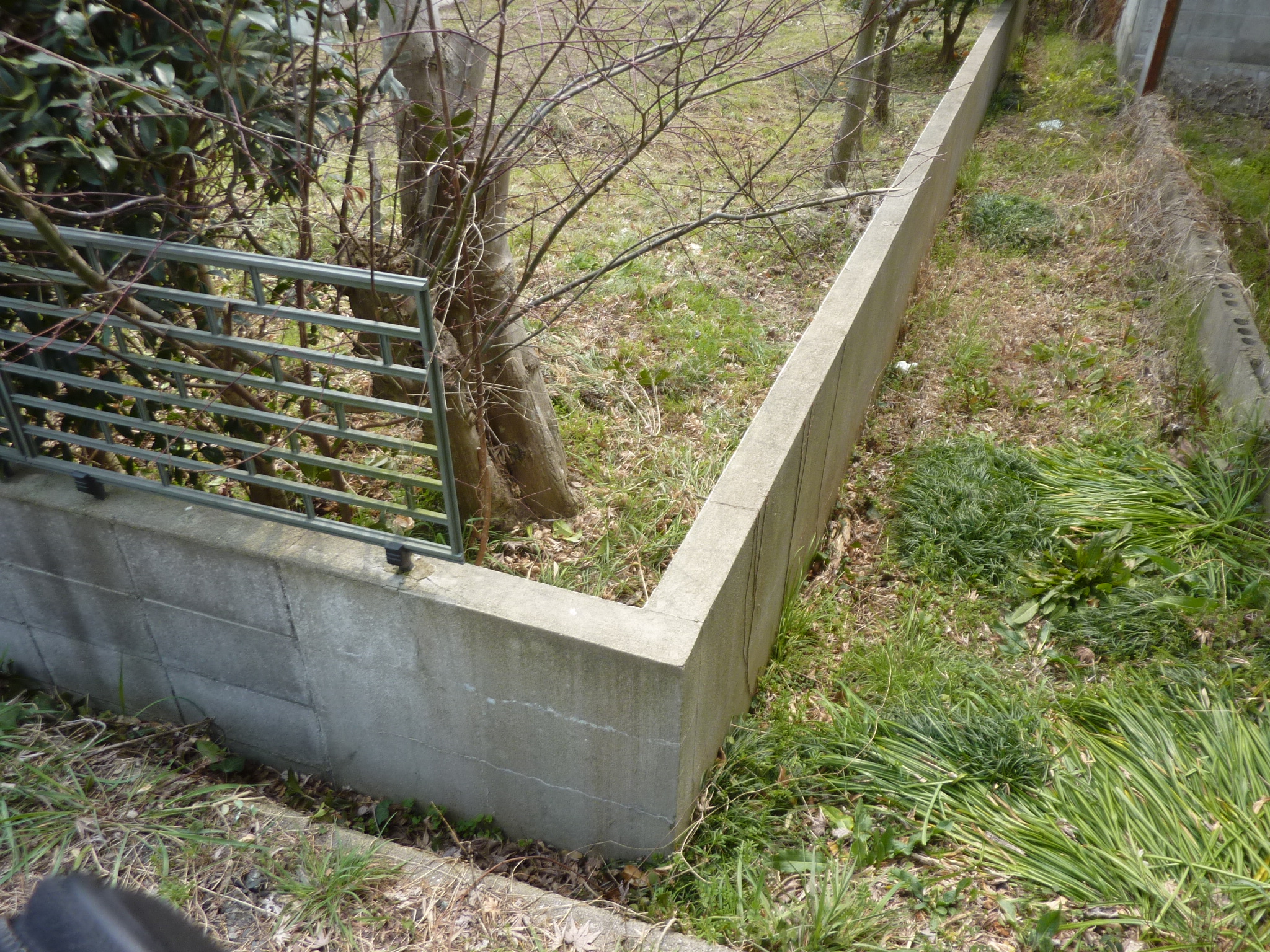 P1120643.JPG