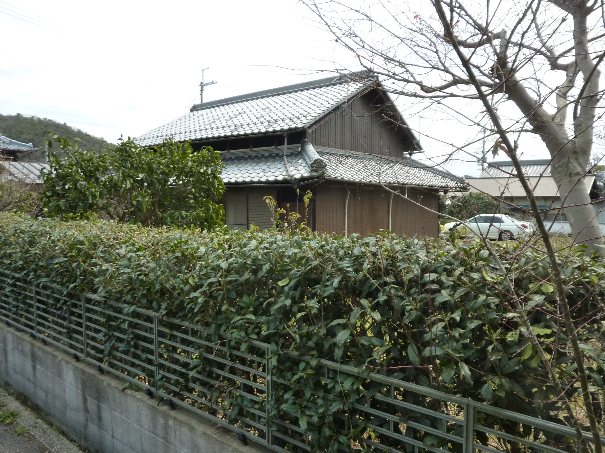 P1120644.JPG