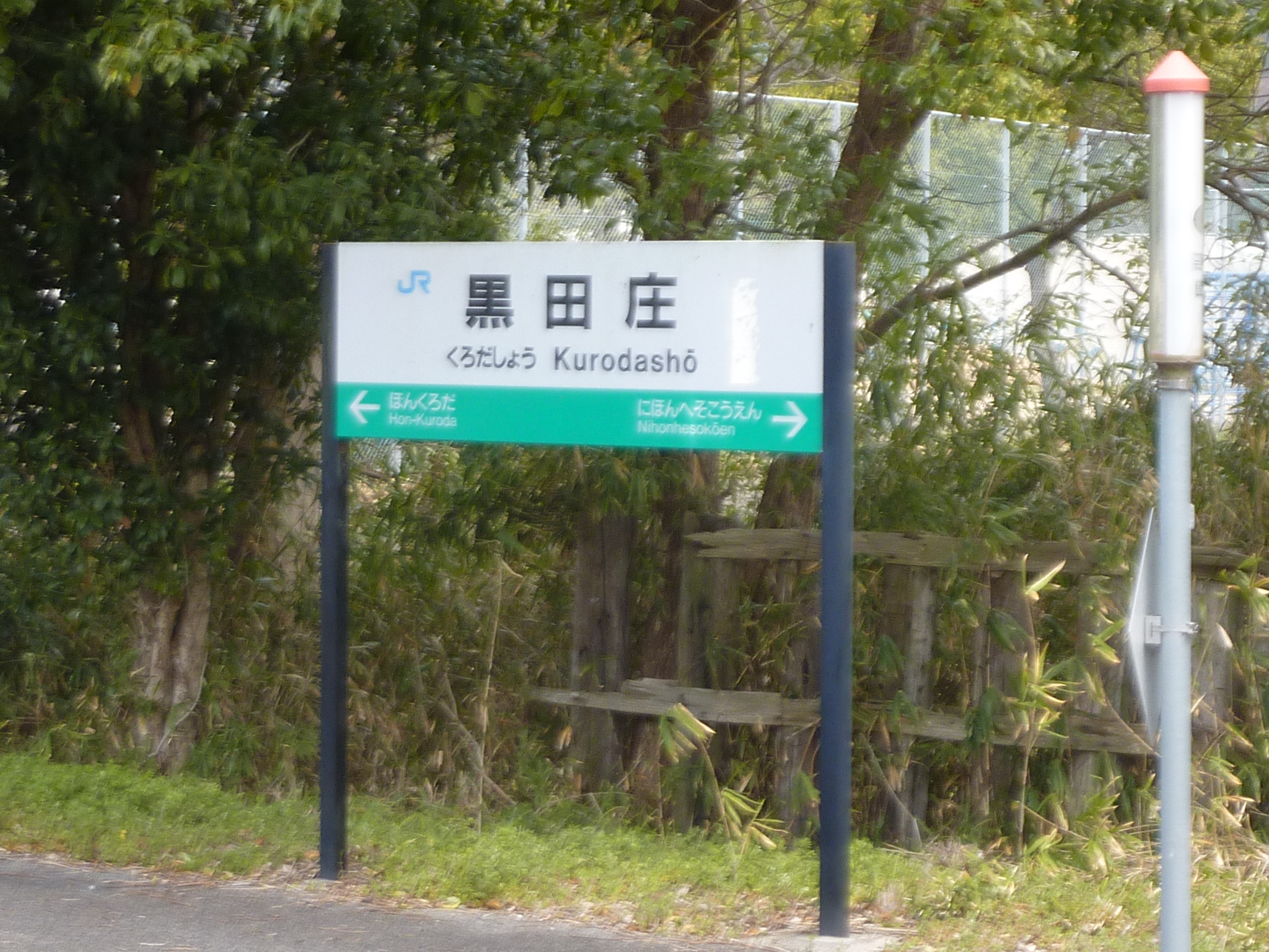P1120650.JPG