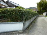 img0017.jpg
