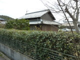 img0019.jpg