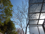 img0001.jpg
