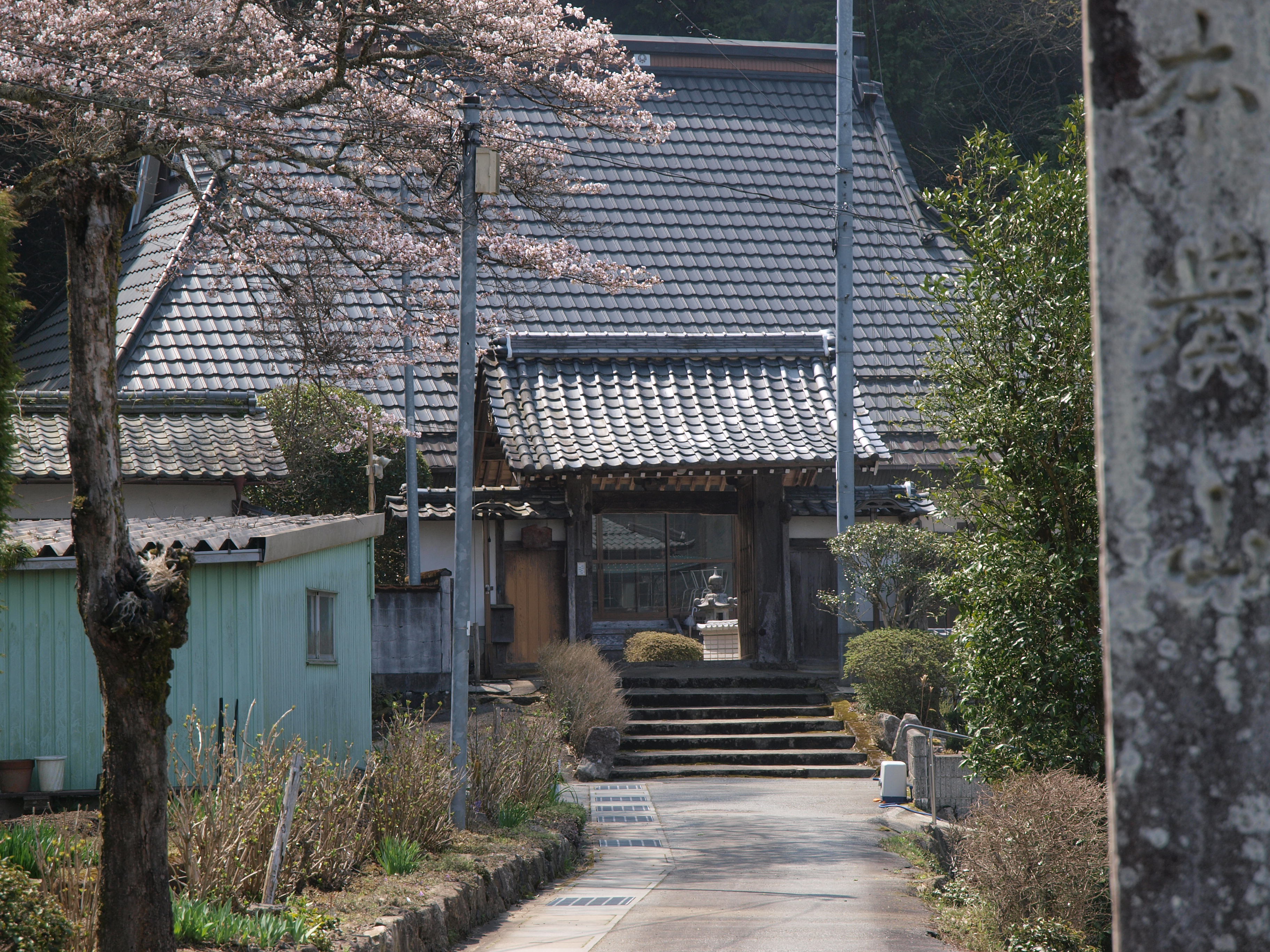 P4105755.JPG