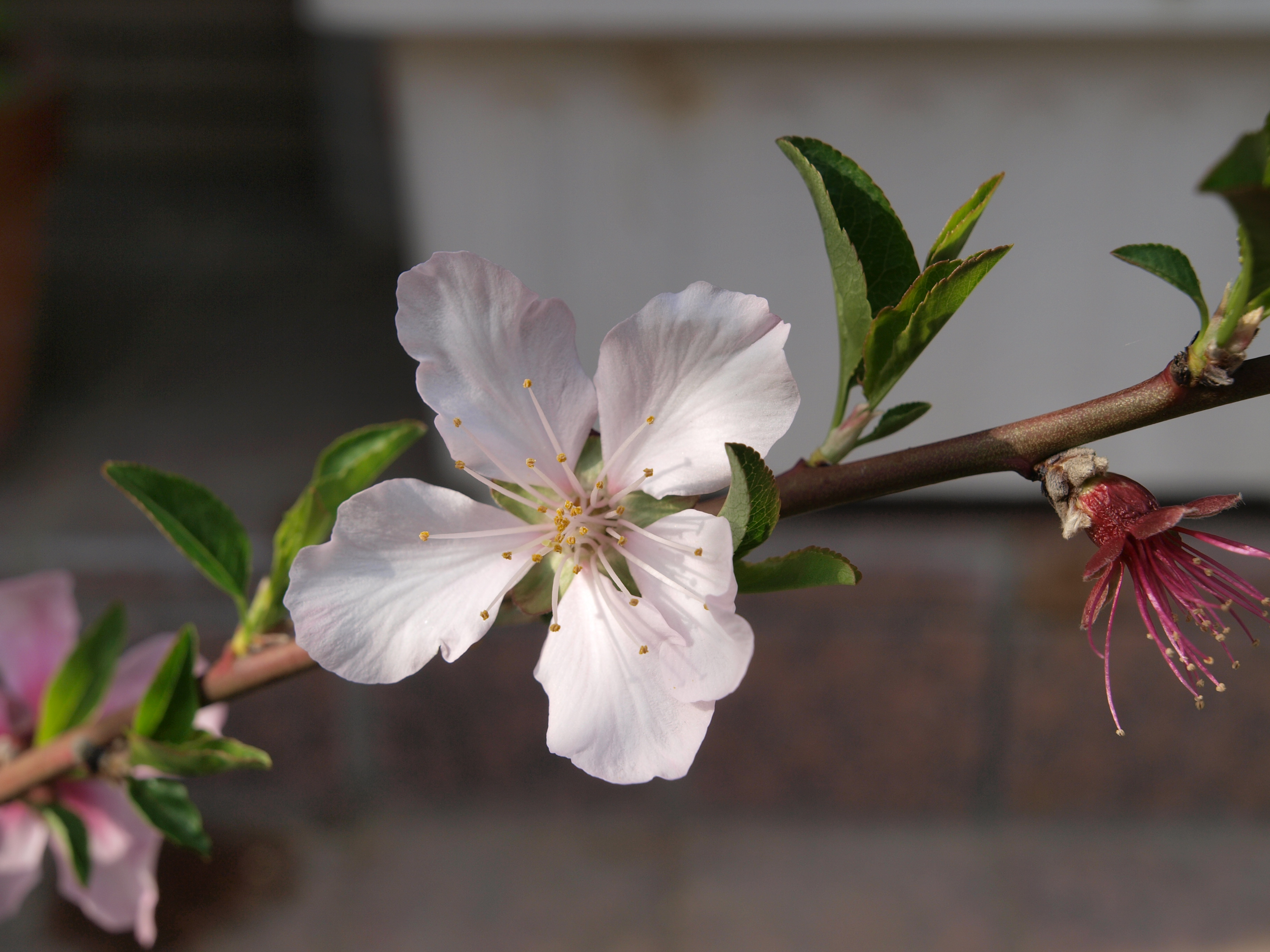 P4105777.JPG
