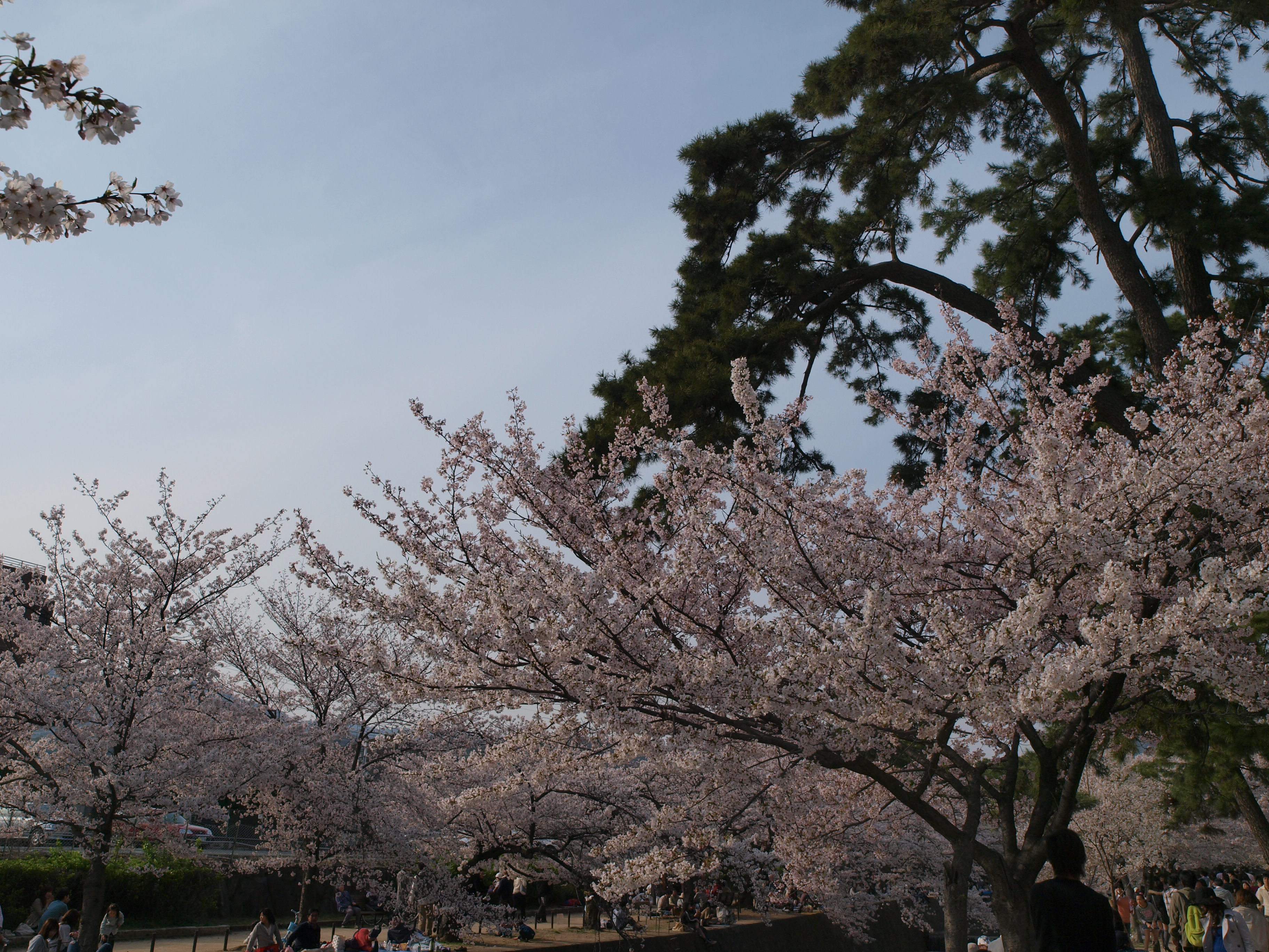 P4105794.JPG