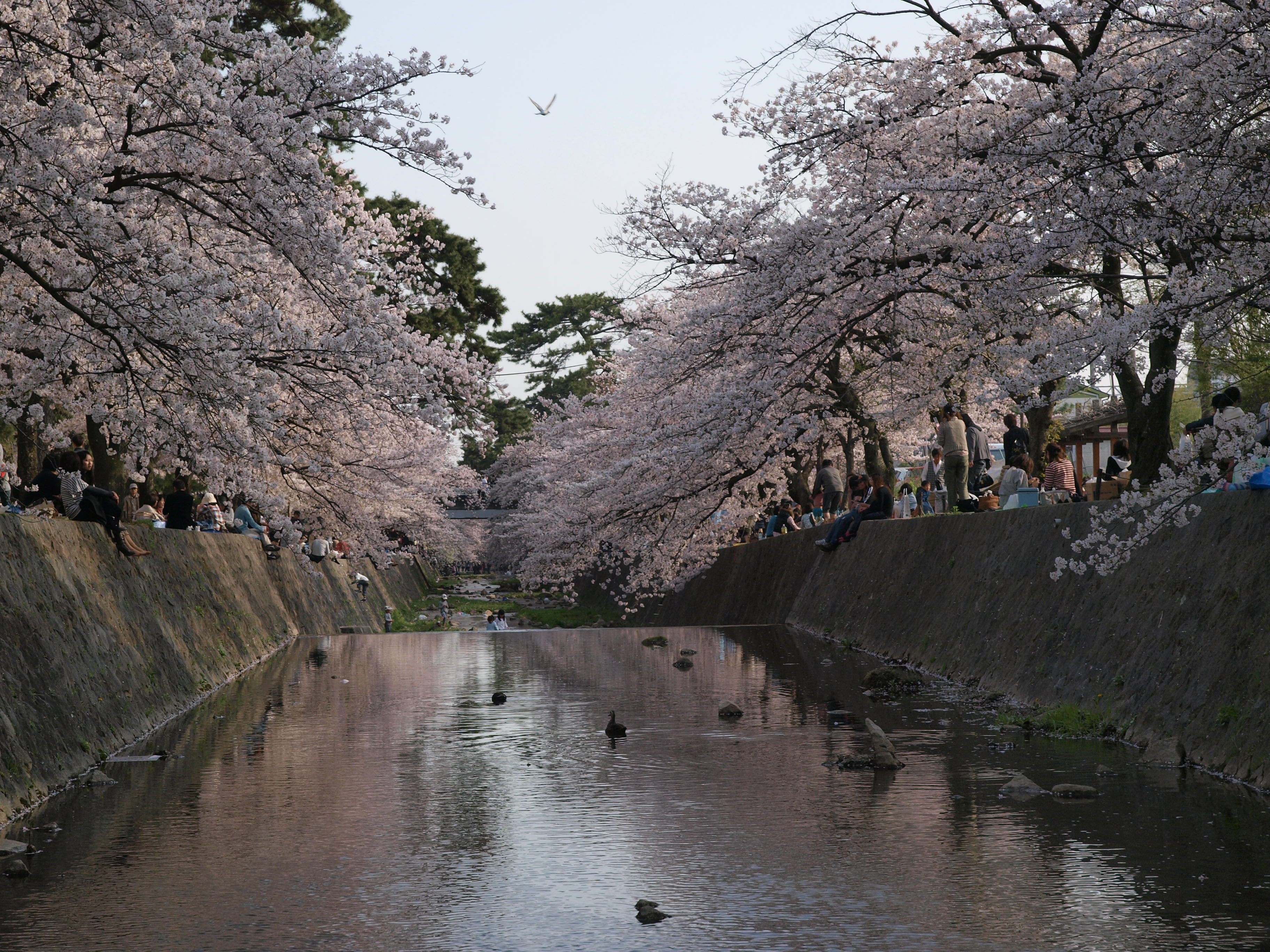P4105796.JPG