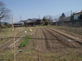 img0008.jpg