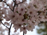 img0021.jpg