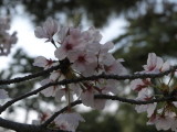 img0022.jpg
