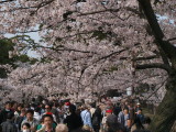 img0024.jpg