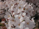 img0025.jpg
