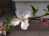 img0028.jpg