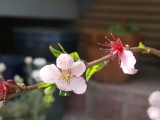 img0029.jpg
