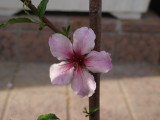 img0030.jpg