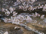 img0034.jpg
