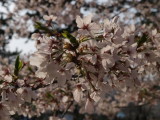 img0037.jpg