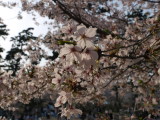 img0038.jpg