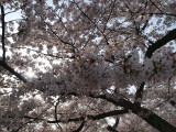 img0041.jpg