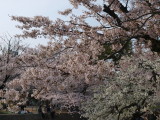 img0042.jpg