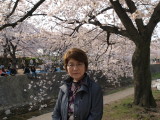 img0043.jpg
