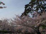 img0045.jpg