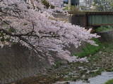 img0046.jpg