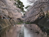 img0049.jpg