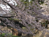 img0050.jpg
