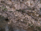 img0051.jpg
