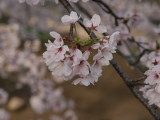 img0052.jpg