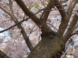 img0054.jpg