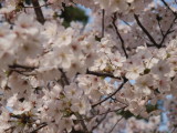 img0055.jpg