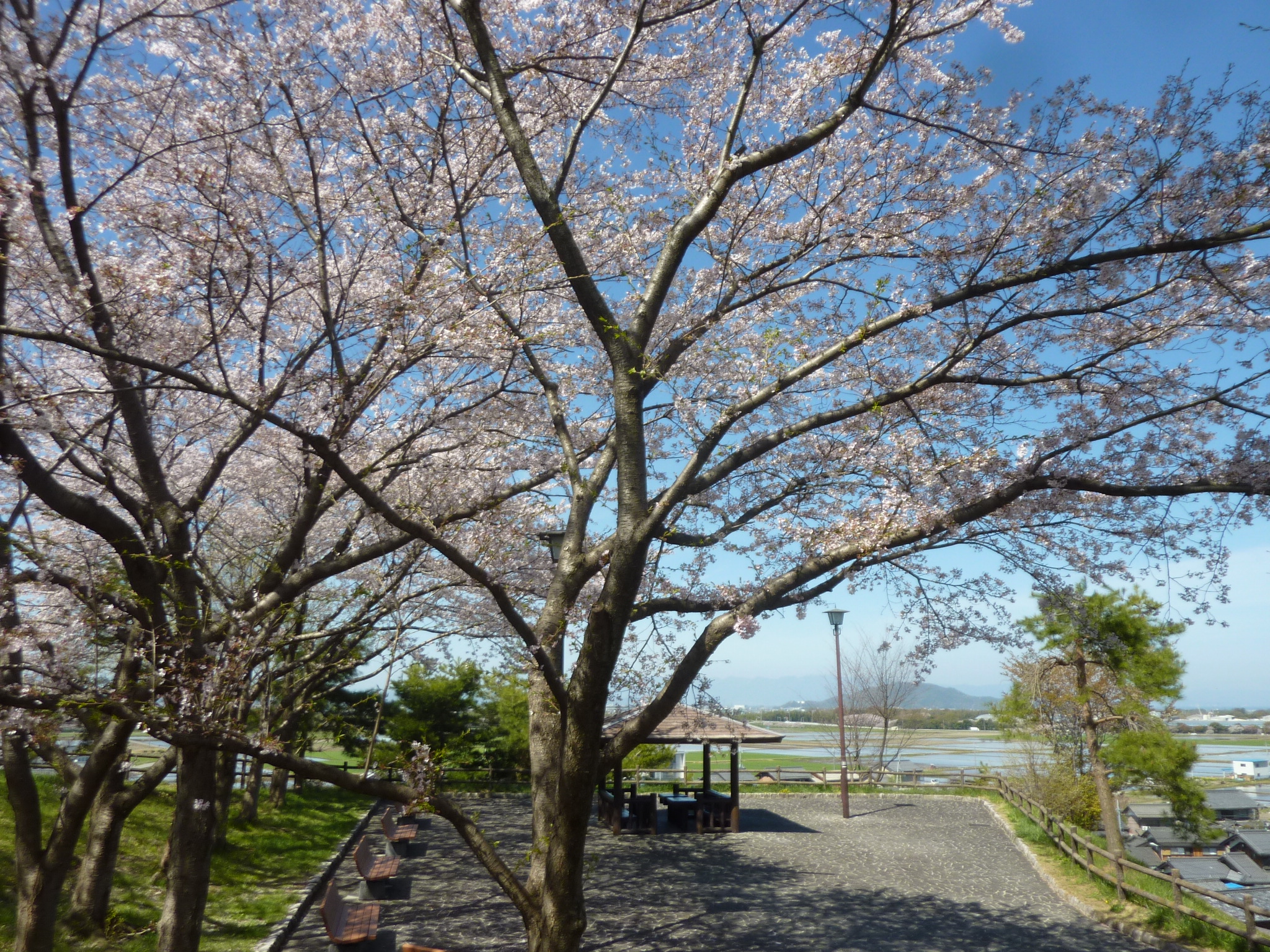P1120821.JPG