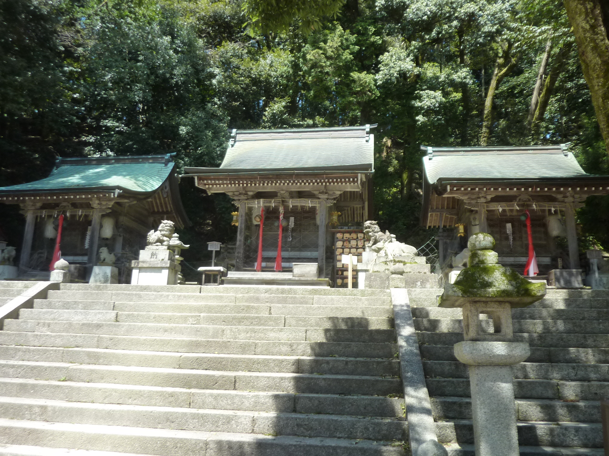 P1120828.JPG